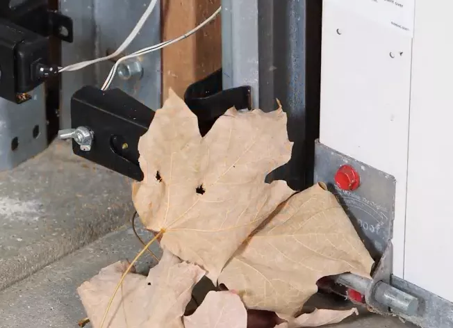 feuille dans porte de garage.png